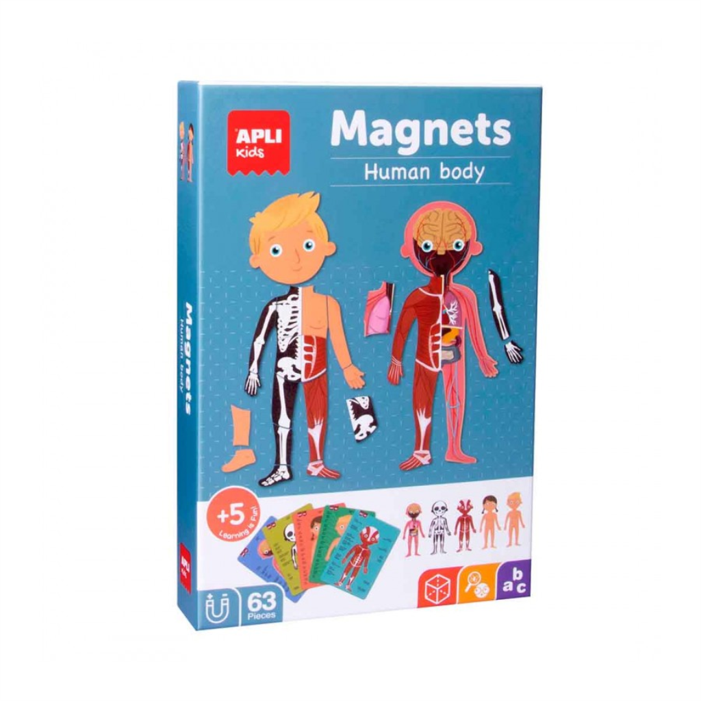 APLI MAGNETI LJUDSKO TIJELO
