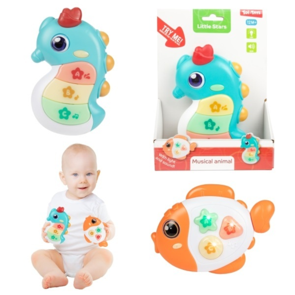 BEBA GLAZBENA ŽIVOTINJA RIBA MORSKI KONJIC