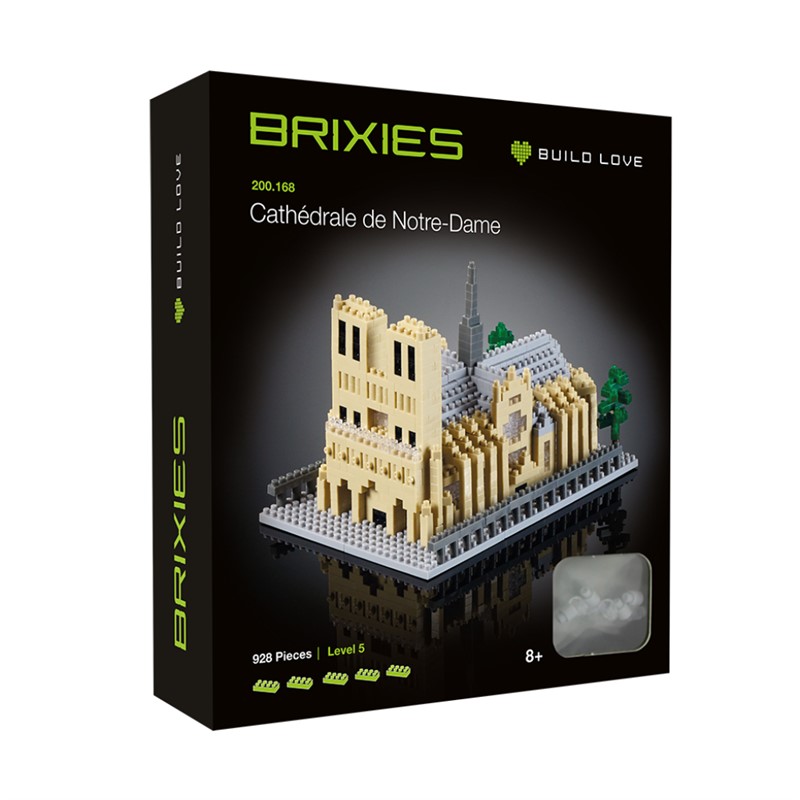 BRIXIES KATEDRALA NOTRE-DAME